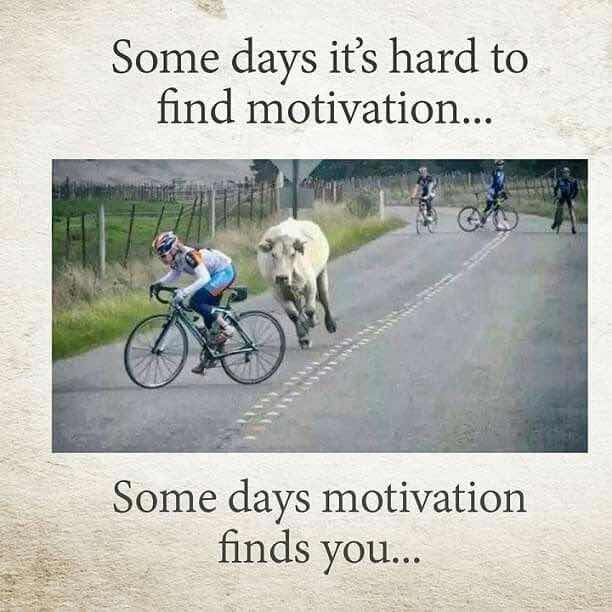 get-motivated